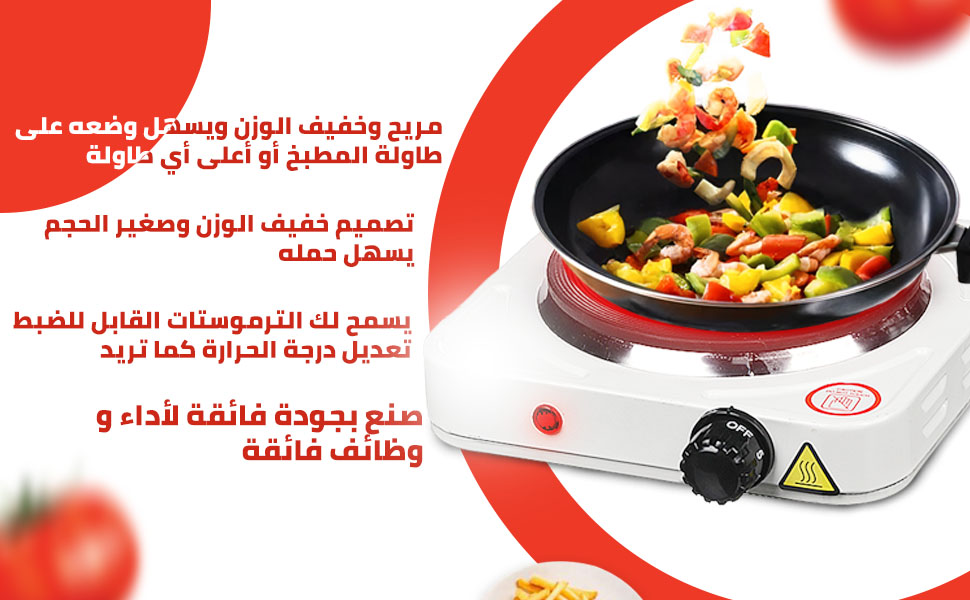 hanso-electric-hot-plate-with-Non-Stick-Coating-One-Cooking-Plate-Adjustable-Temperature-Auto-Thermo-B0CMMMHVP5